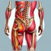 Natural Ways to Relieve Sciatica Pain Without Stretching Hamstrings